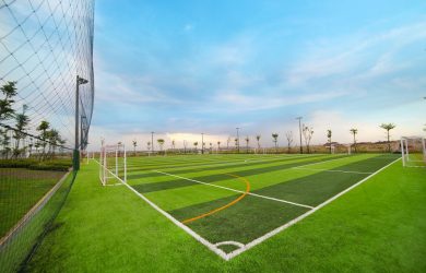 Hệ thống thể dục thể thao