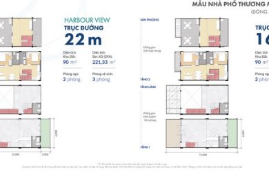 Hình ảnh nhà phố thuộc khu phức hợp nhà ở và thương mại cao cấp Aquaria