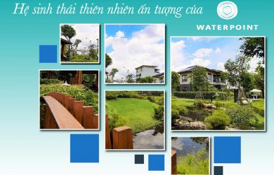 Hệ sinh thái thiên nhiên ấn tượng của Waterpoint