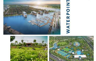 Hệ sinh tháo ven sông Waterpoint