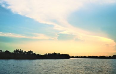 Vẻ đẹp tự nhiên say lòng người của dòng sông Vàm Cỏ Đông.