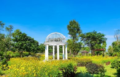 Ảnh thực tế tại công viên trung tâm Central Park Waterpoint