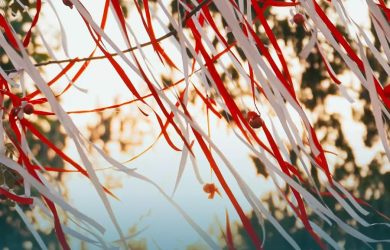 Những hình ảnh về cây ước nguyện Waterpoint