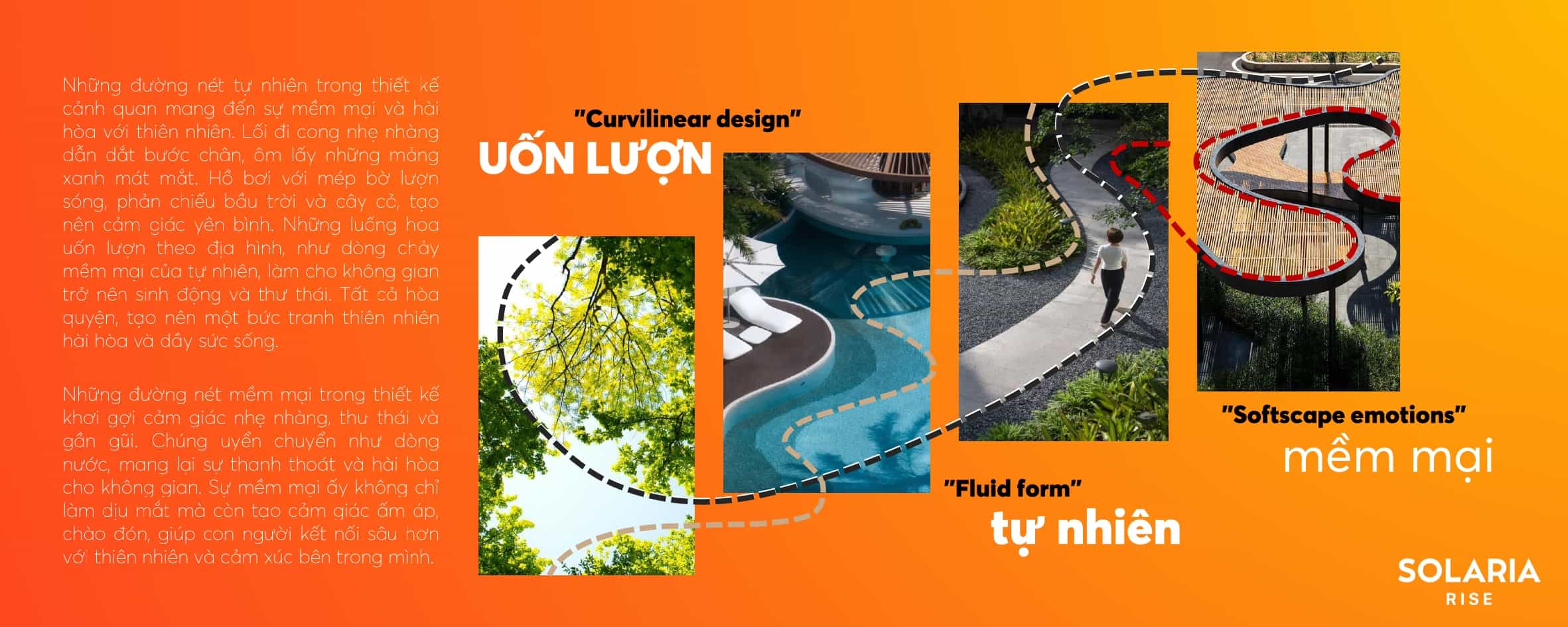 Thiết kế Solaria Rise