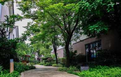 Ngày 16/10 The Pearl Waterpoint ra mắt thị trường Hà Nội