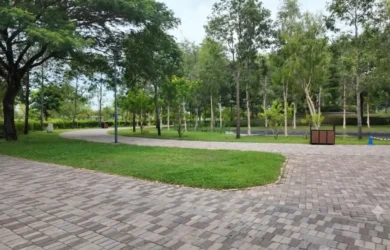 Khởi đầu buổi sáng trong lành bên dòng sông Vàm Cỏ Đông_2